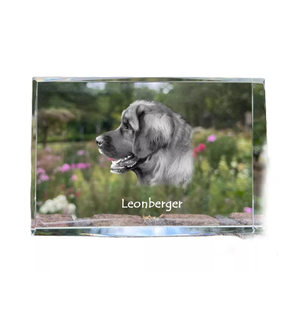 Leonberger - crystal with a picture of a dog, photo in glass, modern exhibition of Art-Dog brand photo