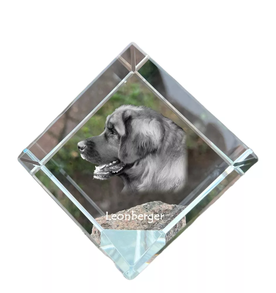 Leonberger - crystal cube with a photo, photo of a horse in crystal, cubic paperweight from Art-Dog brand