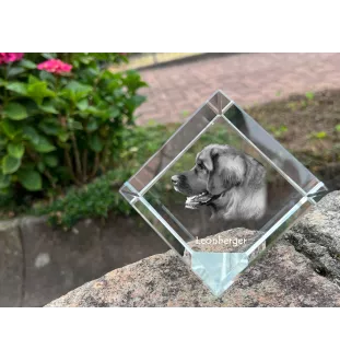 Leonberger - crystal cube with a photo, photo of a horse in crystal, cubic paperweight from Art-Dog brand