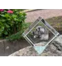 Leonberger - crystal cube with a photo, photo of a horse in crystal, cubic paperweight from Art-Dog brand