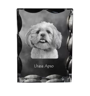 Lhasa Apso ramka kryształowa z psem Art-Dog