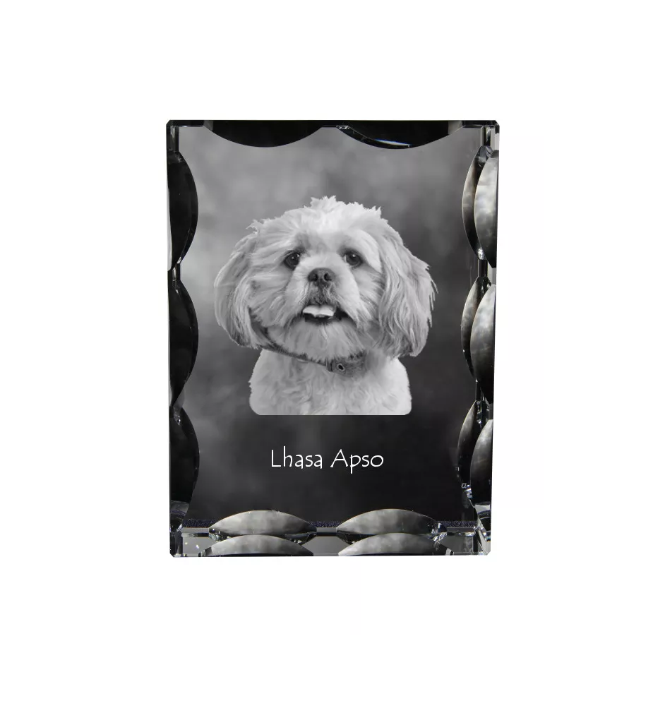 Lhasa Apso, Lhasaterrier, Löwenhund - Kristall mit einem Hundebild, Glasstatuette mit einem Bild, einzigartiger Bilderrahmen der Marke Art-Dog