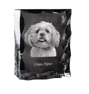 Lhasa Apso - crystal with a picture of a dog, glass statuette with a picture, unique frame with a picture from Art-Dog brand
