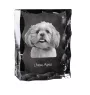 Lhasa Apso - crystal with a picture of a dog, glass statuette with a picture, unique frame with a picture from Art-Dog brand