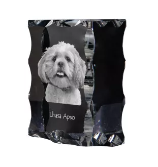 Lhasa Apso - crystal with a picture of a dog, glass statuette with a picture, unique frame with a picture from Art-Dog brand