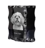 Lhasa Apso, Lhasaterrier, Löwenhund - Kristall mit einem Hundebild, Glasstatuette mit einem Bild, einzigartiger Bilderrahmen der Marke Art-Dog