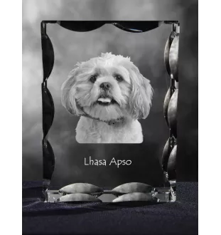 Lhasa Apso, Lhasaterrier, Löwenhund - Kristall mit einem Hundebild, Glasstatuette mit einem Bild, einzigartiger Bilderrahmen der Marke Art-Dog