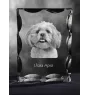 Lhasa Apso - crystal with a picture of a dog, glass statuette with a picture, unique frame with a picture from Art-Dog brand