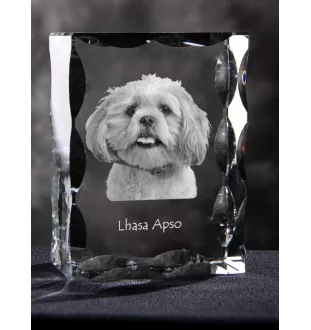 Lhasa Apso - crystal with a picture of a dog, glass statuette with a picture, unique frame with a picture from Art-Dog brand