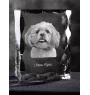 Lhasa Apso, Lhasaterrier, Löwenhund - Kristall mit einem Hundebild, Glasstatuette mit einem Bild, einzigartiger Bilderrahmen der Marke Art-Dog