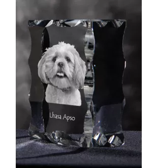 Lhasa Apso - crystal with a picture of a dog, glass statuette with a picture, unique frame with a picture from Art-Dog brand