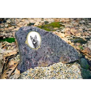 Malinois Belgian Shepherd Dog - commemorative plaque with a photo of a dog, tombstone with a print, personalized oval plaque from the Art-Dog brand