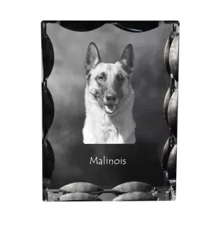 Malinois Belgischer Schäferhund - Kristall mit einem Hundebild, Glasstatuette mit einem Bild, einzigartiger Bilderrahmen der Marke Art-Dog