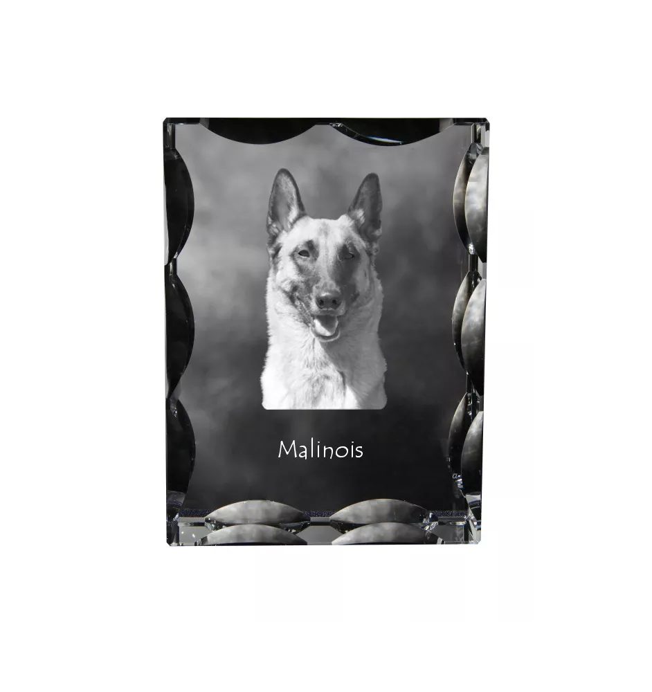 Malinois Belgischer Schäferhund - Kristall mit einem Hundebild, Glasstatuette mit einem Bild, einzigartiger Bilderrahmen der Marke Art-Dog