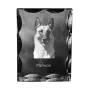 Malinois Owczarek belgijski ramka kryształowa z psem Art-Dog