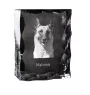 Malinois chien de berger belge - cristal avec photo de chien, statuette en verre avec photo, cadre exceptionnel avec photo de la marque Art-Dog