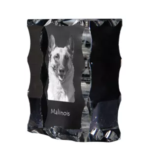 Malinois Owczarek belgijski ramka kryształowa z psem Art-Dog
