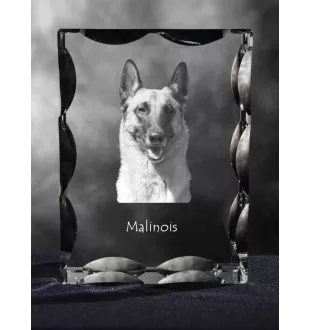 Malinois Belgischer Schäferhund - Kristall mit einem Hundebild, Glasstatuette mit einem Bild, einzigartiger Bilderrahmen der Marke Art-Dog
