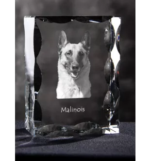 Malinois chien de berger belge - cristal avec photo de chien, statuette en verre avec photo, cadre exceptionnel avec photo de la marque Art-Dog