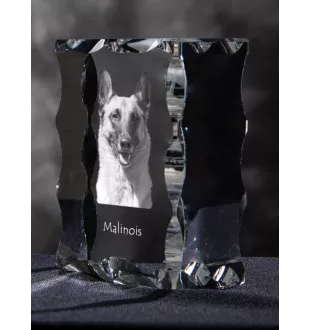 Malinois Belgischer Schäferhund - Kristall mit einem Hundebild, Glasstatuette mit einem Bild, einzigartiger Bilderrahmen der Marke Art-Dog