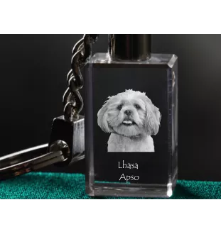 Lhasa Apso, Lhasaterrier, Löwenhund - Schlüsselanhänger aus Kristall mit Hundefoto, beleuchteter Schlüsselanhänger, einzigartiges Geschenk der Marke Art-Dog
