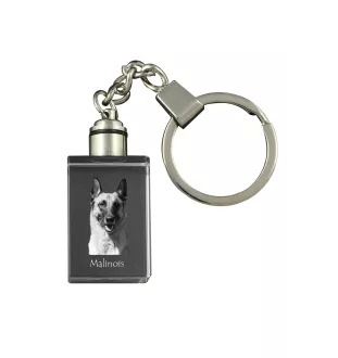 Malinois chien de berger belge - Porte-clés en cristal avec photo de chien, porte-clés lumineux, cadeau unique de la marque Art-Dog