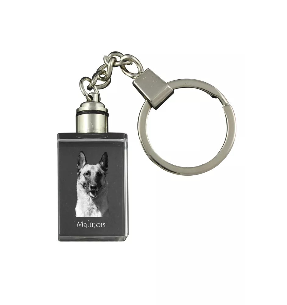 Malinois Belgian Shepherd Dog - Crystal key ring with dog photo, illuminated key ring, unique gift by Art-Dog brand