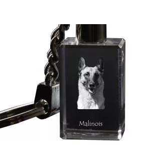 Malinois Belgischer Schäferhund - Schlüsselanhänger aus Kristall mit Hundefoto, beleuchteter Schlüsselanhänger, einzigartiges Geschenk der Marke Art-Dog