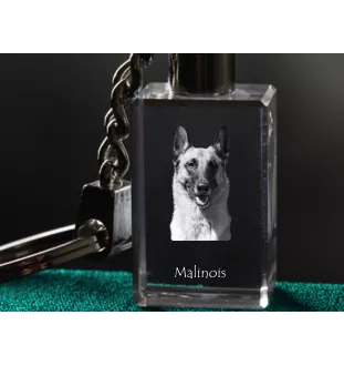 Malinois chien de berger belge - Porte-clés en cristal avec photo de chien, porte-clés lumineux, cadeau unique de la marque Art-Dog