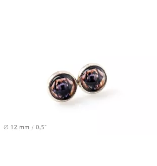 Leonberger, Chien De Leonberg - boîte à bijoux avec votre photo, ensemble collier et boucles d'oreilles, produits personnalisés de la marque Art-Dog