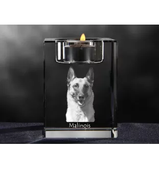 Malinois Belgischer Schäferhund - Kerzenhalter mit Hundefoto, Teelichthalter aus Kristall, personalisiertes Geschenk der Marke Art-Dog