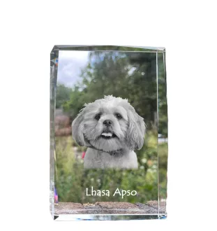 Lhasa Apso, Lhasaterrier, Löwenhund - Kristall mit einem Hundebild, Bild im Glas, moderne Ausstellung des Art-Dog-Bildes.