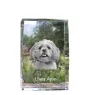 Lhasa Apso - crystal with a picture of a dog, photo in glass, modern exhibition of Art-Dog brand photo