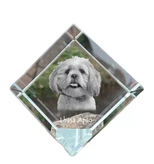 Lhasa Apso, Lhasaterrier, Löwenhund - Kristallwürfel mit Bild, Pferdebild im Kristall, sechseckiger Papierclip der Marke Art-Dog