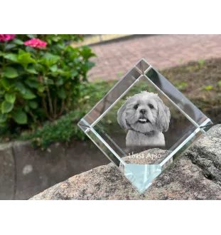 Lhasa Apso, Lhasaterrier, Löwenhund - Kristallwürfel mit Bild, Pferdebild im Kristall, sechseckiger Papierclip der Marke Art-Dog