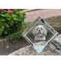 Lhasa Apso, Lhasaterrier, Löwenhund - Kristallwürfel mit Bild, Pferdebild im Kristall, sechseckiger Papierclip der Marke Art-Dog