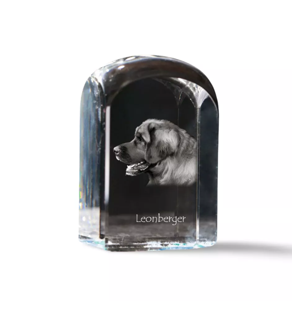 Leonberger, Chien De Leonberg - un cube de cristal avec une photo, une photo de chien dans le cristal, un presse-papiers cubique de la marque Art-Dog