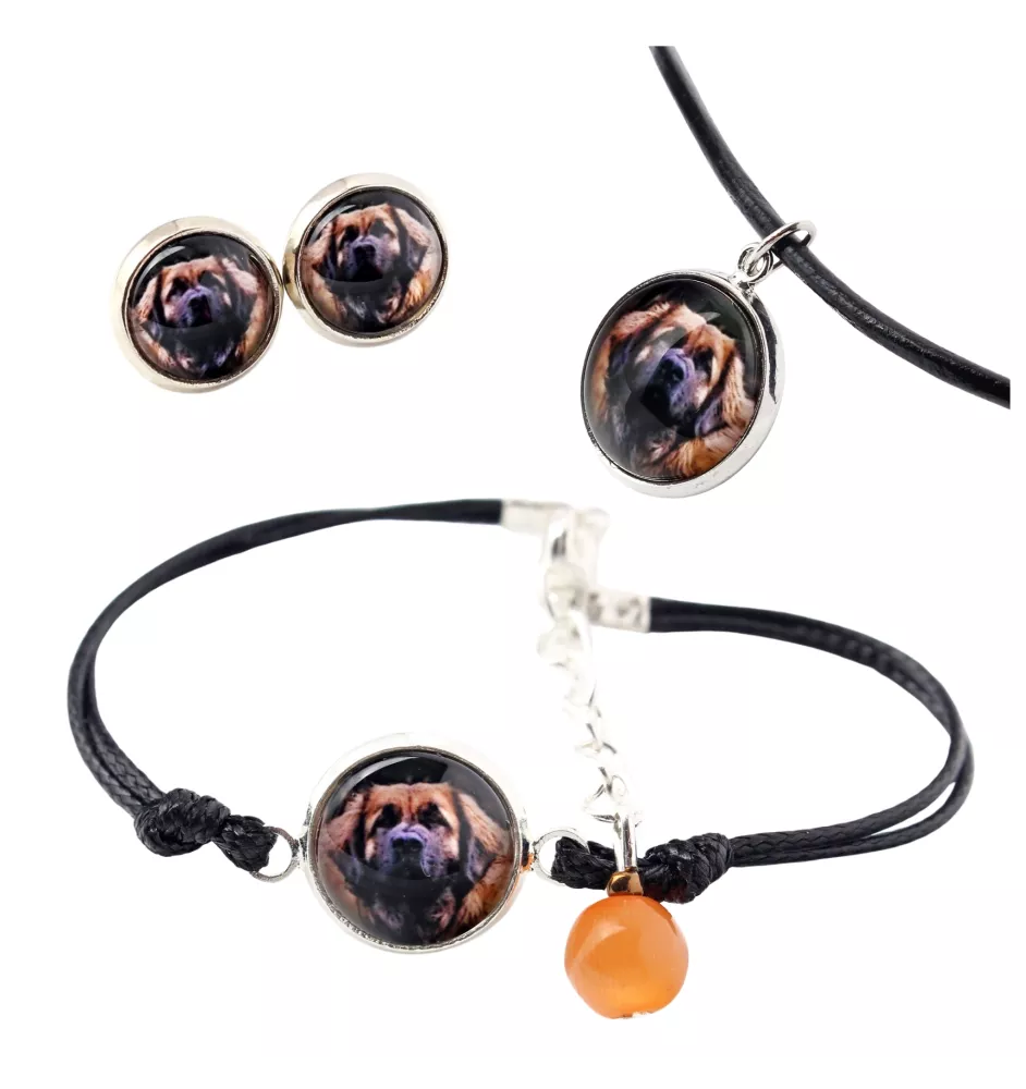Leonberger, Chien De Leonberg - ensemble de bijoux dans une boîte, collier, boucles d'oreilles, bracelet, produits de la marque Art-Dog