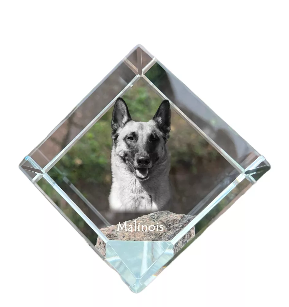 Malinois Belgischer Schäferhund - Kristallwürfel mit Bild, Pferdebild im Kristall, sechseckiger Papierclip der Marke Art-Dog
