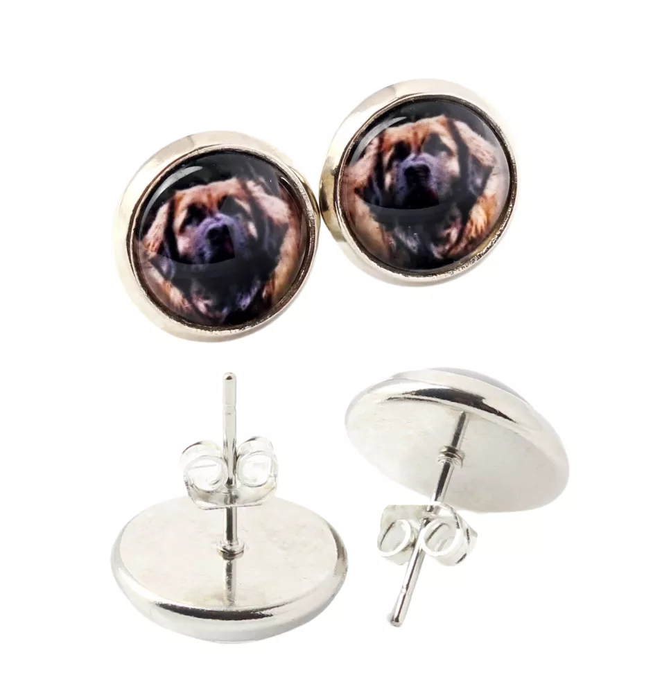 Leonberger, Chien De Leonberg - boucles d'oreilles dans une boîte, votre photo, bijoux faits à la main, produit de la marque Art-Dog.