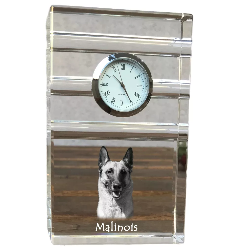 Malinois chien de berger belge - une horloge en verre avec une photo, une photo de chien dans un cristal, une horloge de bureau personnalisée de la marque Art-Dog