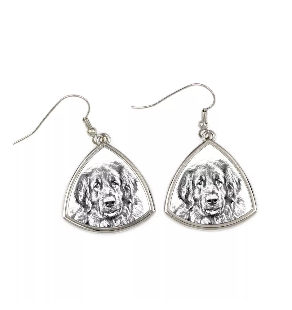 Leonberger - Hund Ohrringe, hängende Ohrringe mit Bild, personalisierter Schmuck mit dem Aufdruck der Marke Art-Dog