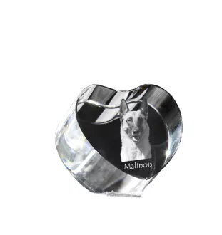Malinois Belgian Shepherd Dog - a photo of a dog in crystal, crystal heart, unique photo frame from the Art-Dog brand