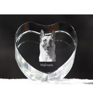 Malinois Owczarek belgijski serce kryształowe z psem Art-Dog