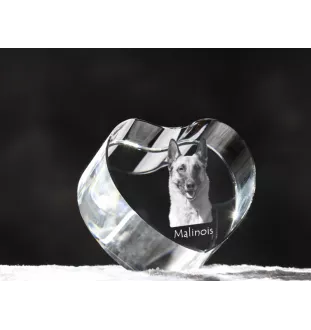 Malinois chien de berger belge - une photo de chien dans un cristal, un cœur en cristal, un cadre photo exceptionnel de la marque Art-Dog