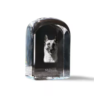Malinois chien de berger belge - un cube de cristal avec une photo, une photo de chien dans le cristal, un presse-papiers cubique de la marque Art-Dog