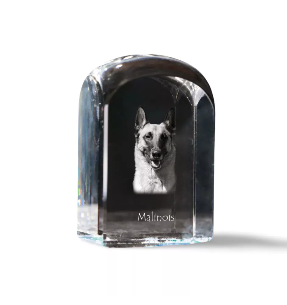 Malinois Belgian Shepherd Dog - crystal cube with a photo, photo of a dog in crystal, cubic paperweight from Art-Dog brand