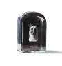 Malinois chien de berger belge - un cube de cristal avec une photo, une photo de chien dans le cristal, un presse-papiers cubique de la marque Art-Dog