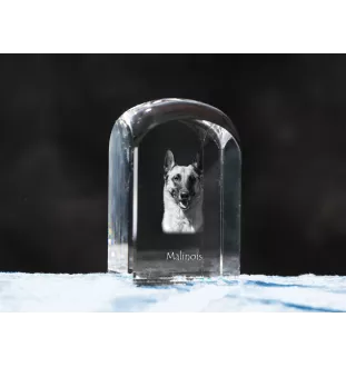 Malinois chien de berger belge - un cube de cristal avec une photo, une photo de chien dans le cristal, un presse-papiers cubique de la marque Art-Dog
