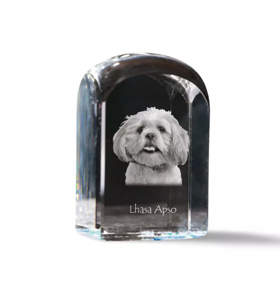 Lhasa Apso - un cube de cristal avec une photo, une photo de chien dans le cristal, un presse-papiers cubique de la marque Art-Dog